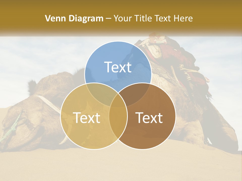 A Camel Laying Down In The Sand With A Backpack On Its Back PowerPoint Template