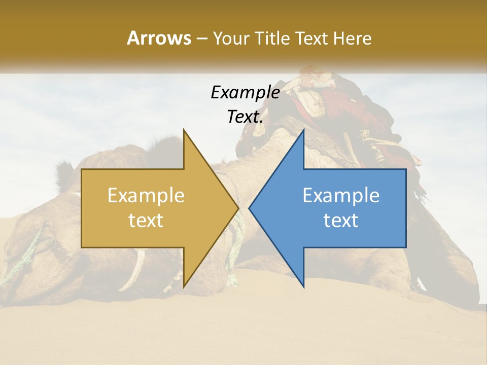 A Camel Laying Down In The Sand With A Backpack On Its Back PowerPoint Template