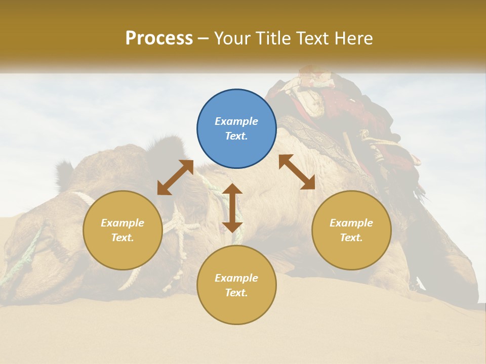 A Camel Laying Down In The Sand With A Backpack On Its Back PowerPoint Template