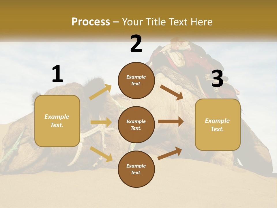 A Camel Laying Down In The Sand With A Backpack On Its Back PowerPoint Template