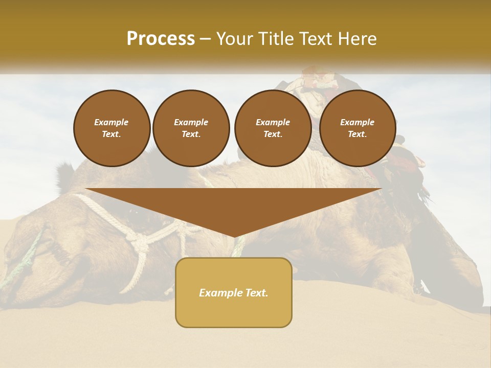 A Camel Laying Down In The Sand With A Backpack On Its Back PowerPoint Template