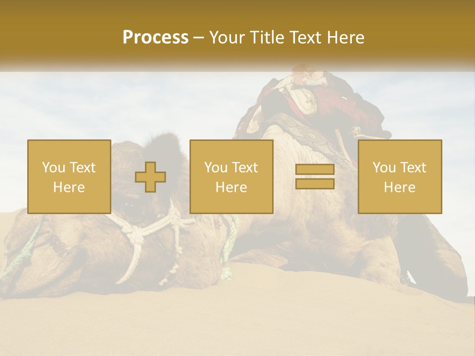 A Camel Laying Down In The Sand With A Backpack On Its Back PowerPoint Template