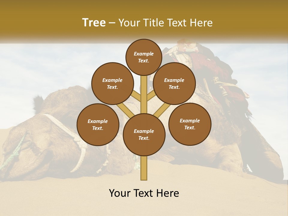 A Camel Laying Down In The Sand With A Backpack On Its Back PowerPoint Template