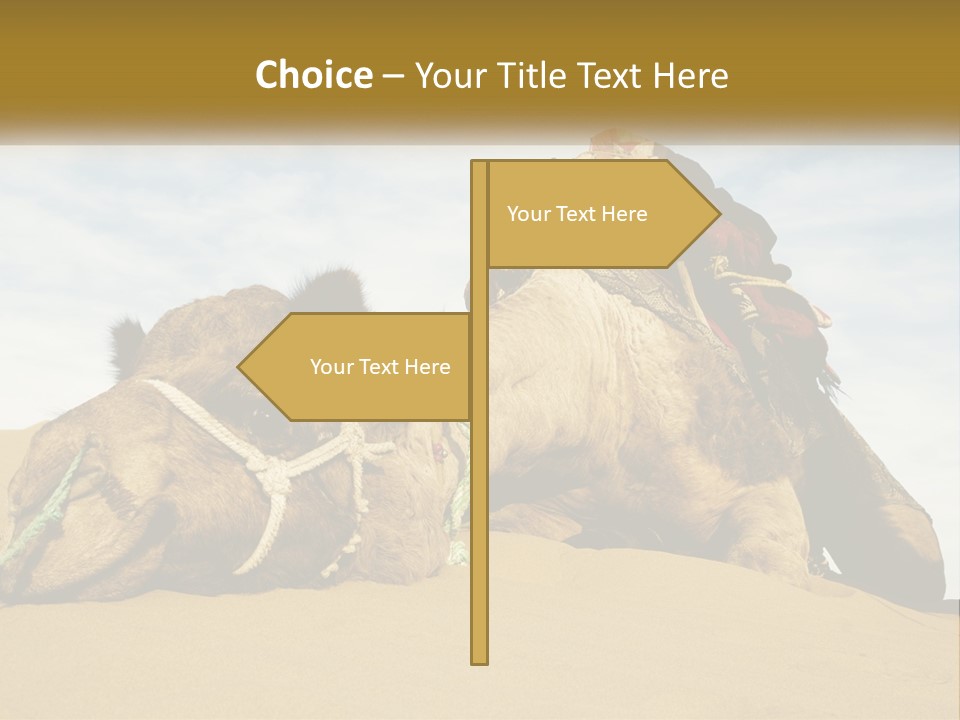 A Camel Laying Down In The Sand With A Backpack On Its Back PowerPoint Template