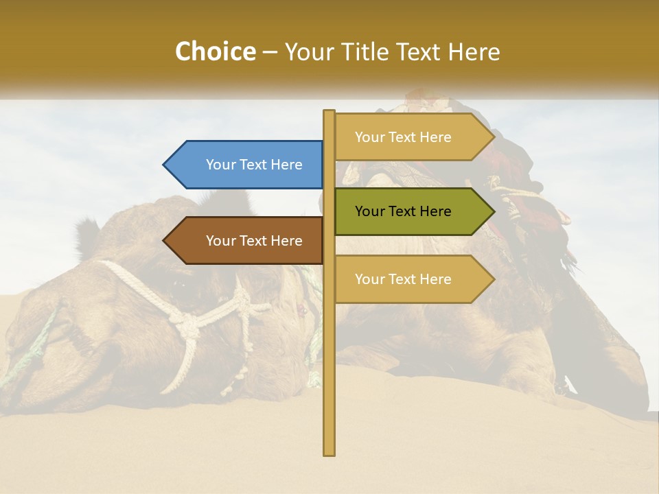 A Camel Laying Down In The Sand With A Backpack On Its Back PowerPoint Template