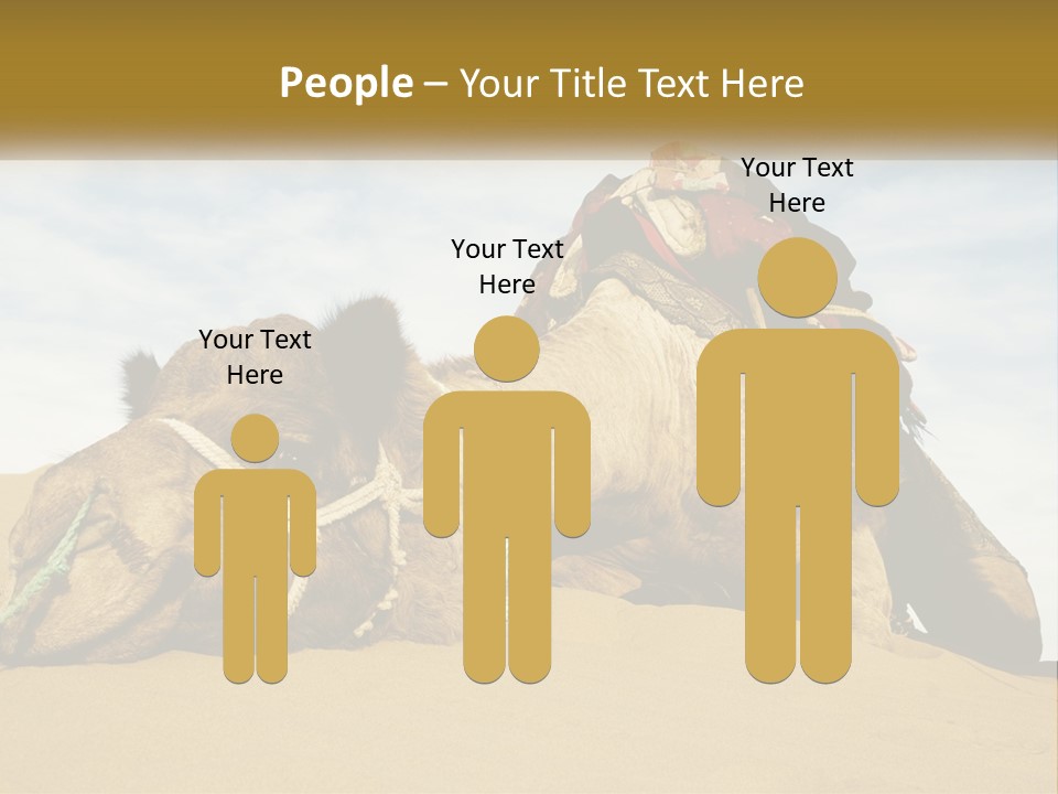 A Camel Laying Down In The Sand With A Backpack On Its Back PowerPoint Template