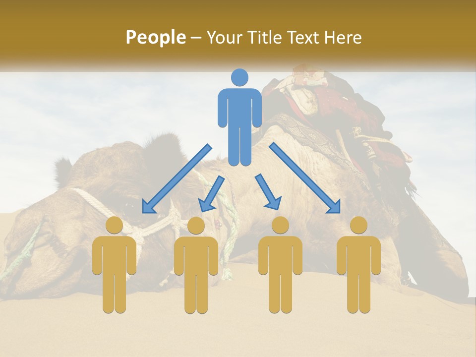 A Camel Laying Down In The Sand With A Backpack On Its Back PowerPoint Template