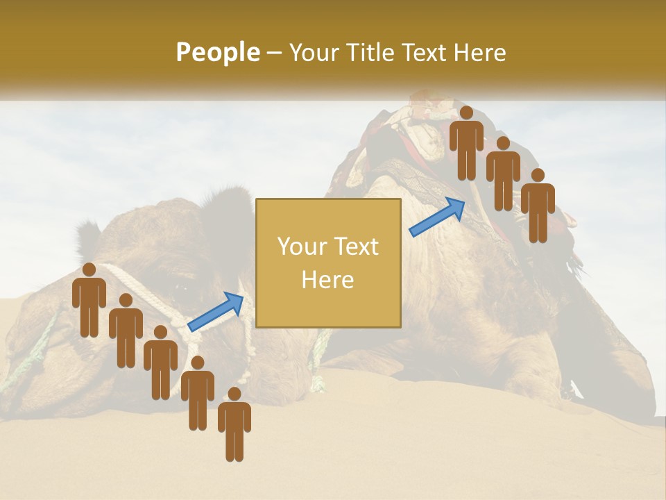 A Camel Laying Down In The Sand With A Backpack On Its Back PowerPoint Template