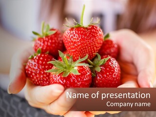 A Person Holding A Bunch Of Strawberries In Their Hands PowerPoint Template
