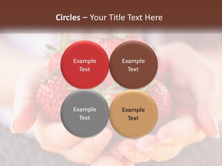 A Person Holding A Bunch Of Strawberries In Their Hands PowerPoint Template