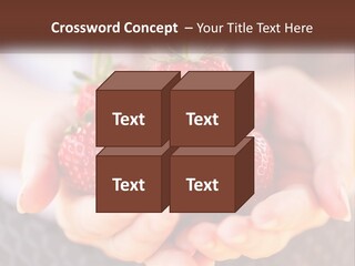 A Person Holding A Bunch Of Strawberries In Their Hands PowerPoint Template