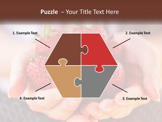 A Person Holding A Bunch Of Strawberries In Their Hands PowerPoint Template
