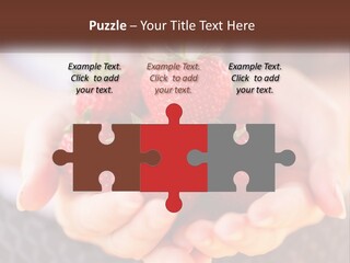 A Person Holding A Bunch Of Strawberries In Their Hands PowerPoint Template