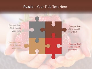 A Person Holding A Bunch Of Strawberries In Their Hands PowerPoint Template