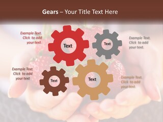 A Person Holding A Bunch Of Strawberries In Their Hands PowerPoint Template