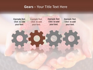 A Person Holding A Bunch Of Strawberries In Their Hands PowerPoint Template