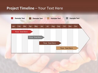 A Person Holding A Bunch Of Strawberries In Their Hands PowerPoint Template