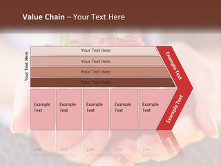 A Person Holding A Bunch Of Strawberries In Their Hands PowerPoint Template