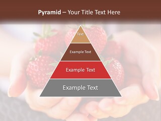A Person Holding A Bunch Of Strawberries In Their Hands PowerPoint Template