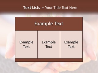A Person Holding A Bunch Of Strawberries In Their Hands PowerPoint Template