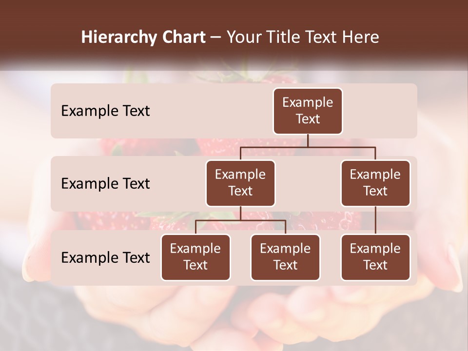A Person Holding A Bunch Of Strawberries In Their Hands PowerPoint Template