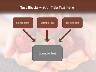 A Person Holding A Bunch Of Strawberries In Their Hands PowerPoint Template