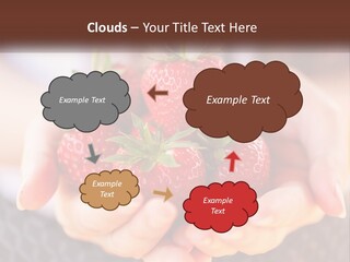 A Person Holding A Bunch Of Strawberries In Their Hands PowerPoint Template