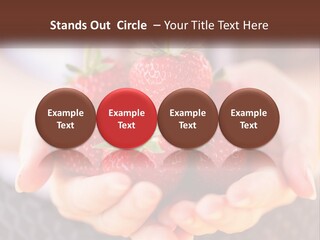 A Person Holding A Bunch Of Strawberries In Their Hands PowerPoint Template