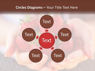 A Person Holding A Bunch Of Strawberries In Their Hands PowerPoint Template