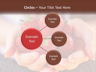 A Person Holding A Bunch Of Strawberries In Their Hands PowerPoint Template