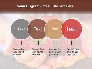 A Person Holding A Bunch Of Strawberries In Their Hands PowerPoint Template