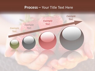 A Person Holding A Bunch Of Strawberries In Their Hands PowerPoint Template