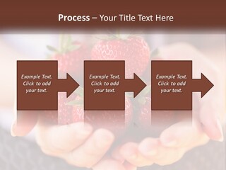 A Person Holding A Bunch Of Strawberries In Their Hands PowerPoint Template