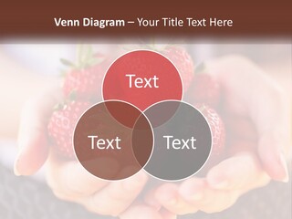 A Person Holding A Bunch Of Strawberries In Their Hands PowerPoint Template