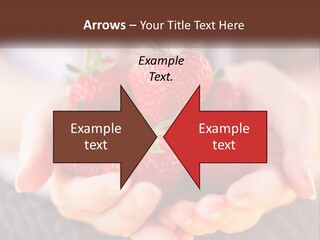 A Person Holding A Bunch Of Strawberries In Their Hands PowerPoint Template