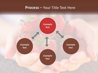 A Person Holding A Bunch Of Strawberries In Their Hands PowerPoint Template