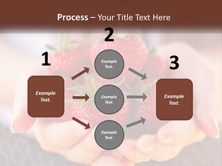 A Person Holding A Bunch Of Strawberries In Their Hands PowerPoint Template