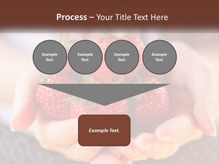 A Person Holding A Bunch Of Strawberries In Their Hands PowerPoint Template