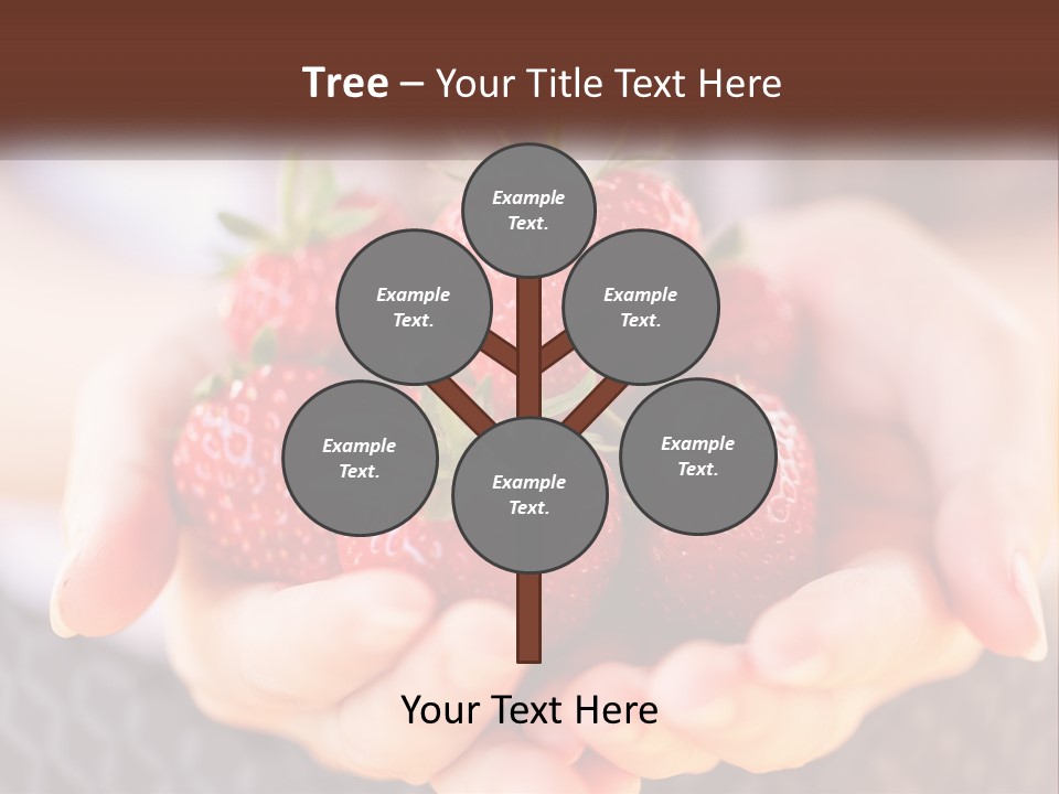 A Person Holding A Bunch Of Strawberries In Their Hands PowerPoint Template