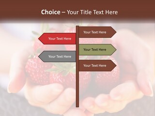 A Person Holding A Bunch Of Strawberries In Their Hands PowerPoint Template