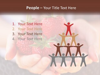 A Person Holding A Bunch Of Strawberries In Their Hands PowerPoint Template