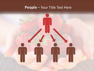A Person Holding A Bunch Of Strawberries In Their Hands PowerPoint Template