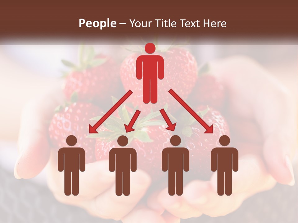 A Person Holding A Bunch Of Strawberries In Their Hands PowerPoint Template