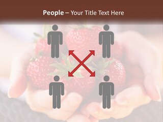 A Person Holding A Bunch Of Strawberries In Their Hands PowerPoint Template