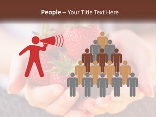 A Person Holding A Bunch Of Strawberries In Their Hands PowerPoint Template