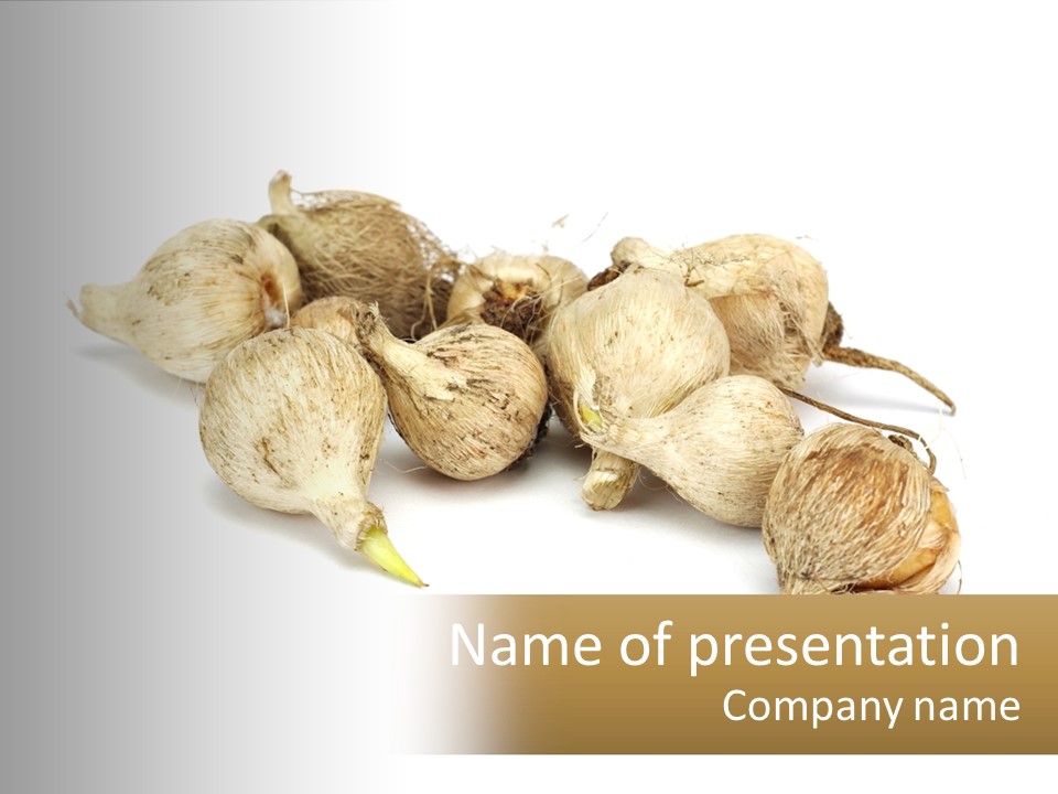 A Bunch Of Garlic On A White Background PowerPoint Template