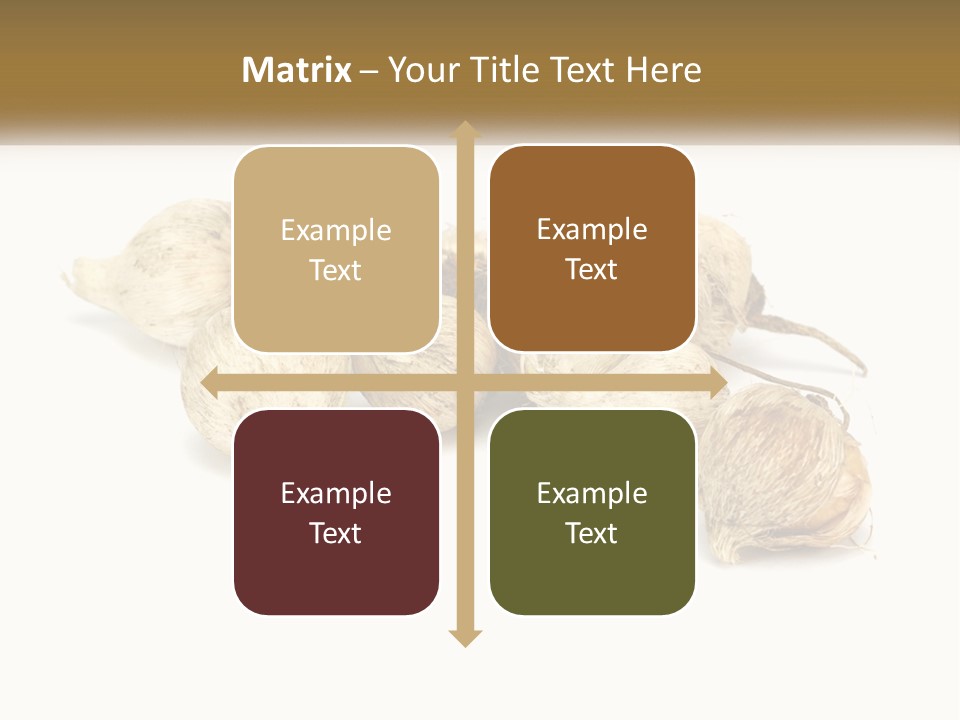 A Bunch Of Garlic On A White Background PowerPoint Template