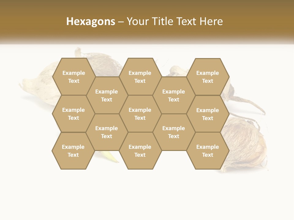 A Bunch Of Garlic On A White Background PowerPoint Template