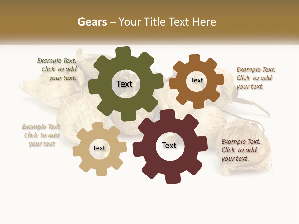 A Bunch Of Garlic On A White Background PowerPoint Template