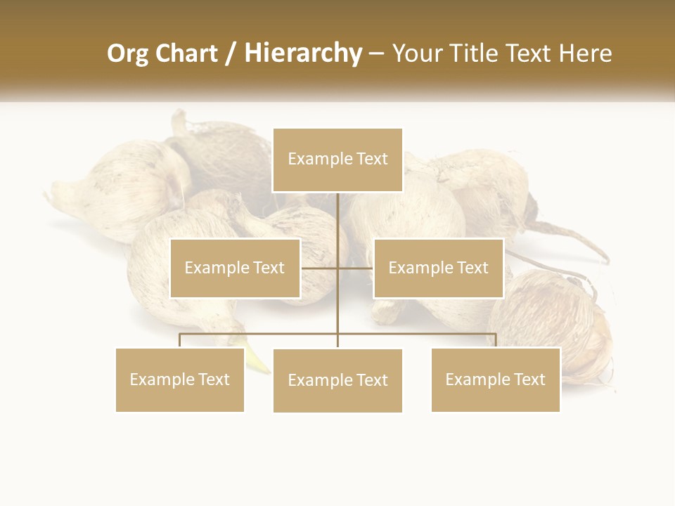 A Bunch Of Garlic On A White Background PowerPoint Template